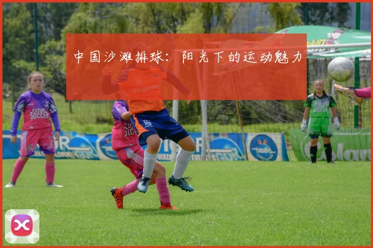 中国沙滩排球：阳光下的运动魅力